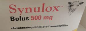 Synulox Bolus 500mg 20 Pack POM V Farm Vet Supplies