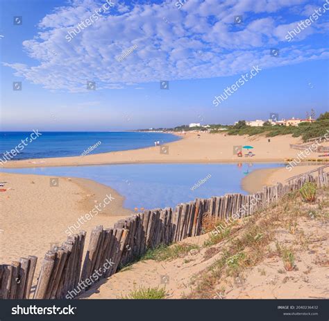 Typical Sandy Beach Dunes Puglia Italy Stock Photo 2040236432