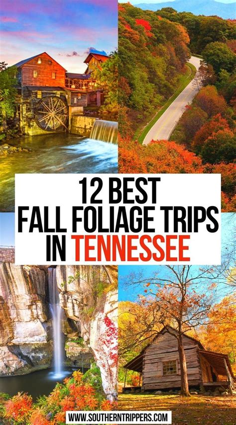 Best Fall Foliage Road Trips And Drives In The Usa Artofit