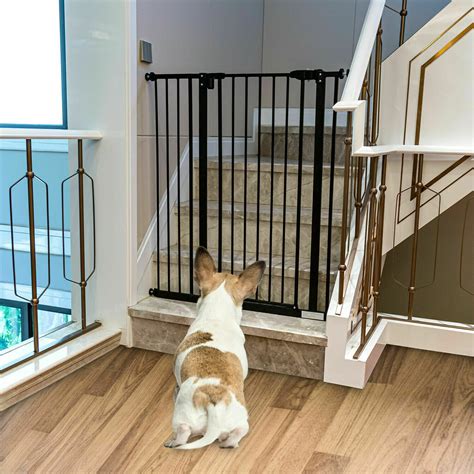 Tucker Murphy Pet Wall Mounted Pet Gate Reviews Wayfair