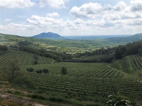 Cosa Vedere Sui Colli Euganei Lostinfood Outdoor Farmland Strada