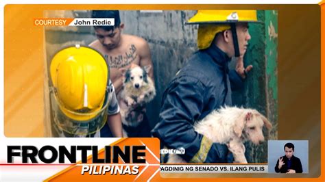 Mga Bumbero Na Sumagip Sa Mga Alagang Hayop Sa Sunog Sa Manila Nag