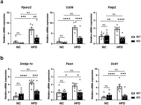 Mrna Expression Levels Of The Lipid Metabolism Related Genes Increased