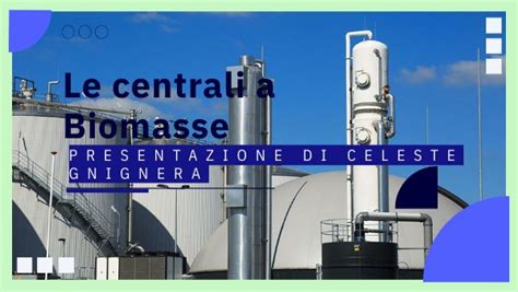 Le Centrali A Biomasse A Combustione Diretta