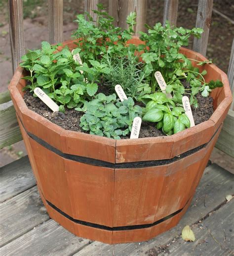 Growing Herbs In Small Spaces 31 Creative Herb Container Garden Ideas