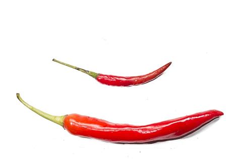 Small Hot Red Chilli Capsicum White Red Food Capsicum PNG Transparent Image And Clipart For