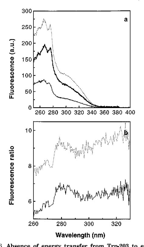 Figure From The Central Aromatic Residue In Loop L Of Reca Interacts