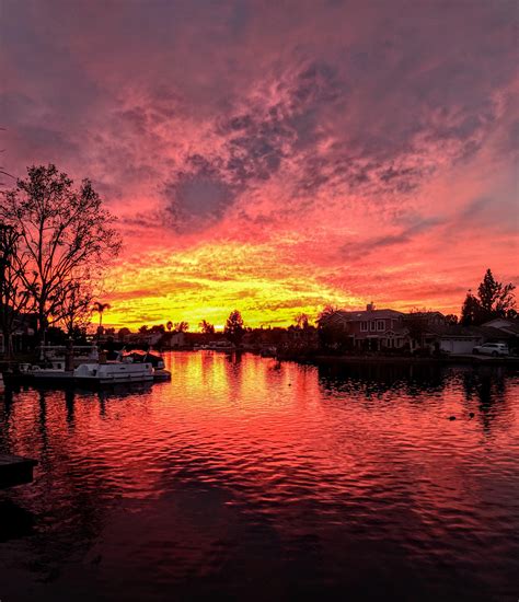 Backyard Sunset Rpics