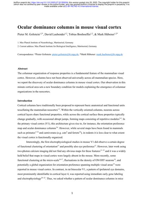 PDF Ocular Dominance Columns In Mouse Visual Cortex