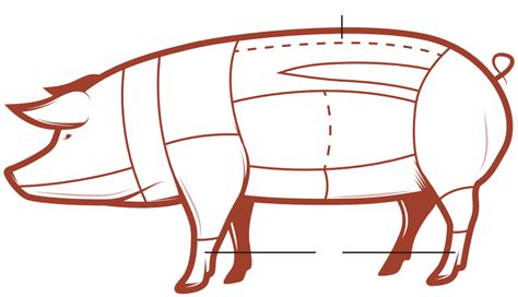 Cuts of Pork Diagram | Quizlet