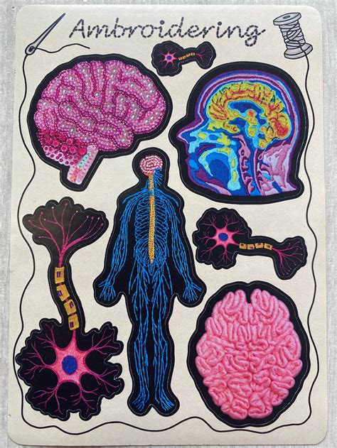 Neurological Anatomical A6 Sticker Sheet Embroidery Neuron Etsy Uk