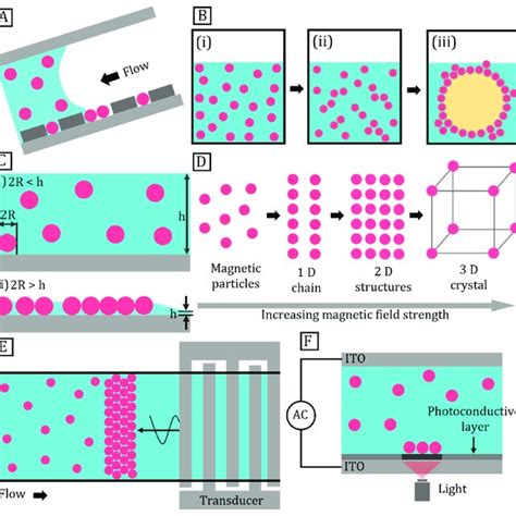 Assembly Of Micro And Nanoparticles A Assembly Of Particles On