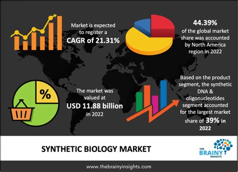 Synthetic Biology Market Size Outlook Share Report