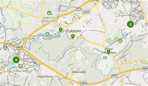 Best Walking Trails near Cobham, Surrey England | AllTrails