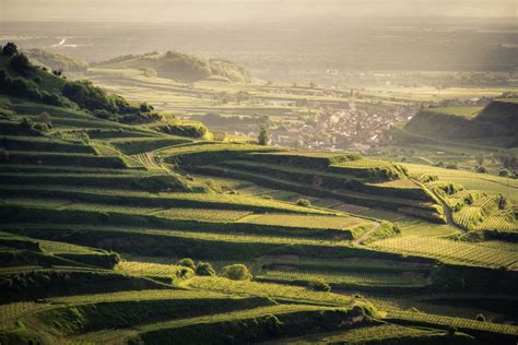 Der Kaiserstuhl Im Namen des Königs Entdecke Deutschland