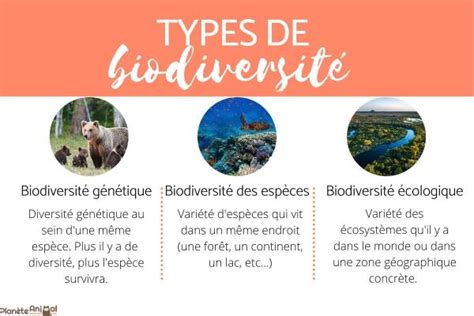 Biodiversité Définition types et caractéristiques et importance