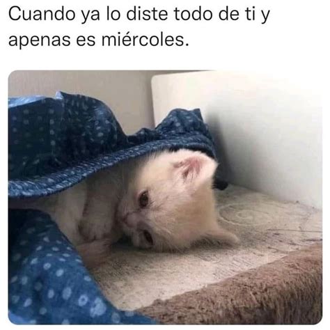 Cuando ya lo diste todo de ti y apenas es miércoles Memes