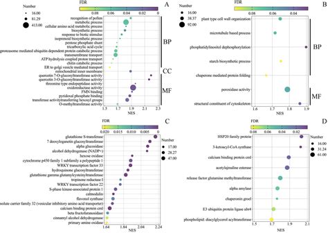 Gene Ontology Go And Kegg Pathway Enrichment Analysis Of All Detected