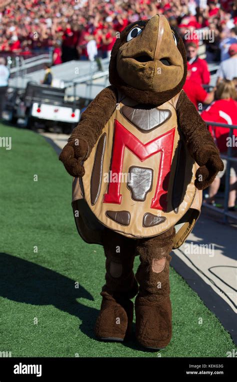 Maryland mascot hi-res stock photography and images - Alamy