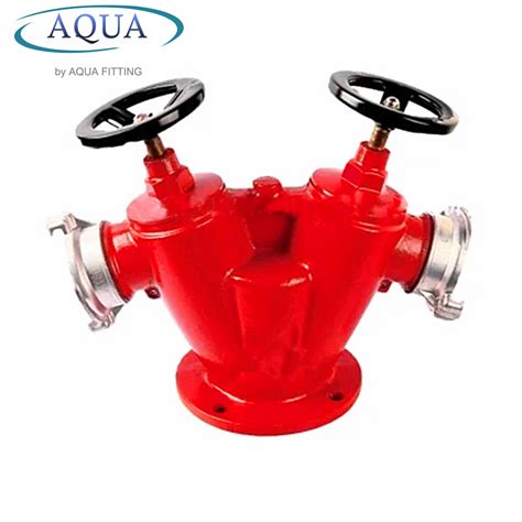 Dn100 Overground Type Outdoor Fire Hydrant Ductile Cast Iron China Overground Fire Hydrant And