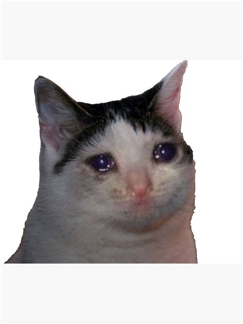 "Sad Cat Meme" Poster by masoncarr2244 | Redbubble