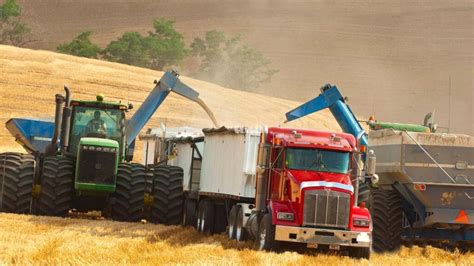 Wheat Harvest Harvest Millions Of Tons Of Wheat In America