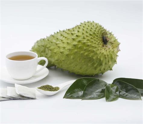 Soursop Tea Benefits And Side Effects Lifestyle Foodies🍎