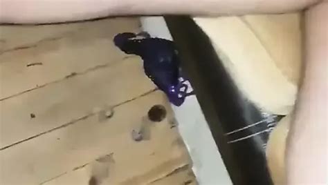 Turk Yengesini Sikiyor Full Video Yorumda Linkte Porn Xhamster