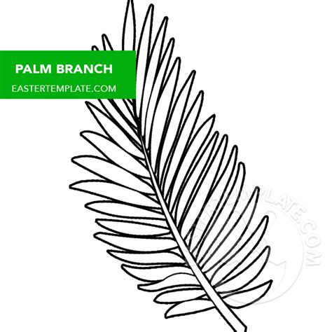 Coloring Pages For Palm Branches At Gankamrynblog Blog