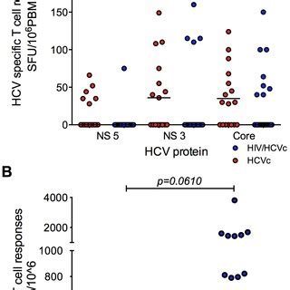 HCV Specific T Cell Responses Are Important In The Control Of HCV Viral