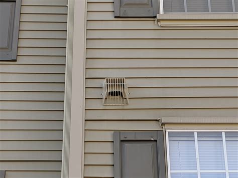 Birds Nesting In A Dryer Vent? Total Removal. Guaranteed.