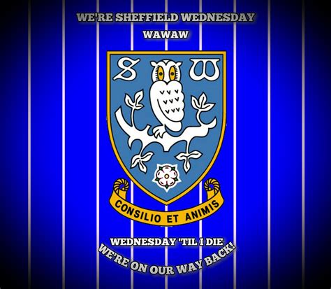 Sheffield Wednesday F C 2048x1785 Download Hd Wallpaper Wallpapertip