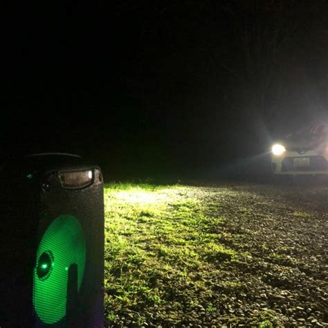 stream  floor window  davidcurtin listen