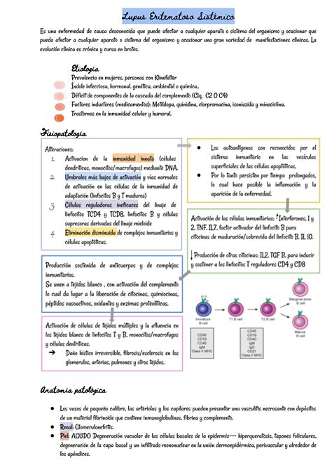 SOLUTION 6 Lupus Eritematoso Sist Mico Studypool