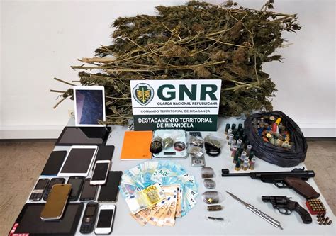 Gnr Desmantela Suposta Rede De Tráfico De Droga E Detém Três Pessoas Em