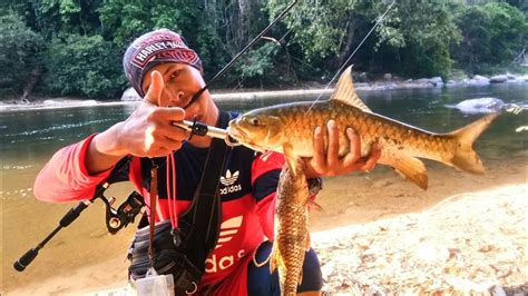 Casting Ikan Tengas Besar Sungai Singor Gerik Youtube