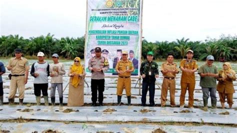 Upaya Kendalikan Inflasi Daerah Dkpp Tanbu Bersama Petani Lakukan