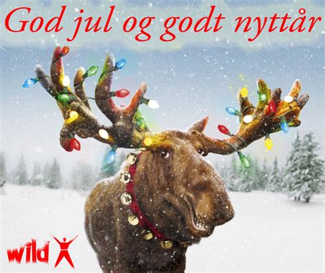 God jul og godt nytt år WILD X