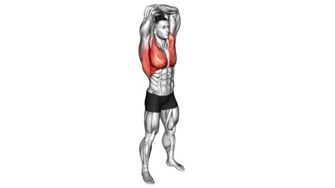 Maximize Shoulder Flexibility Male Full Flexion Exercise Guide And Tips