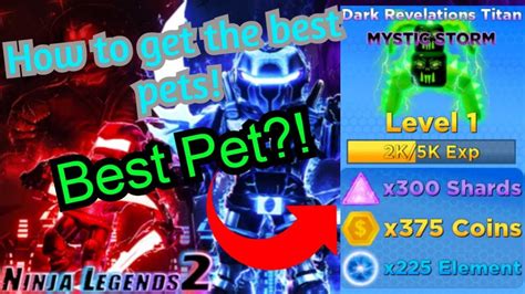 How To Get The Best Pets In Ninja Legends 2 ROBLOX YouTube