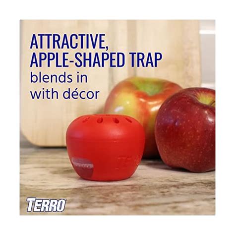 Terro T2502 Ready To Use Indoor Fruit Fly Trap With Built In Window 2 Gourmetian