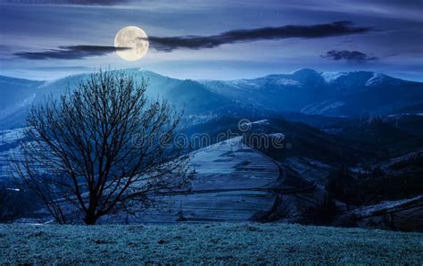 321 Naked Moon Photos Free Royalty Free Stock Photos From Dreamstime