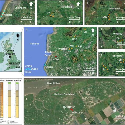 Conceptual Mechanisms Influencing The Propagation Of Tidal Waves In