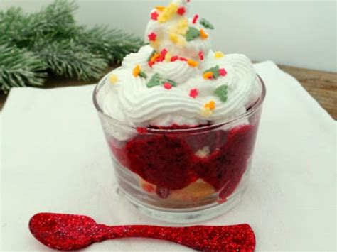 Sorbet Aux Fruits Rouges Meringu S Dessert Express Recette Par My