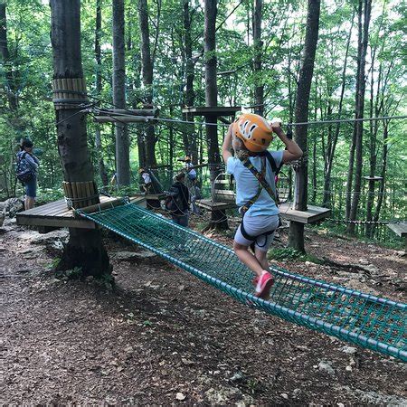 Boscopark Parco Avventura Bosco Chiesanuova AGGIORNATO 2019 Tutto