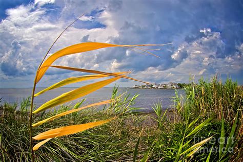 Breezy Day On Long Beach Island Photograph By Mark Miller Pixels