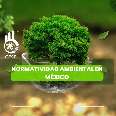 Normatividad Ambiental En M Xico Cese Consultores