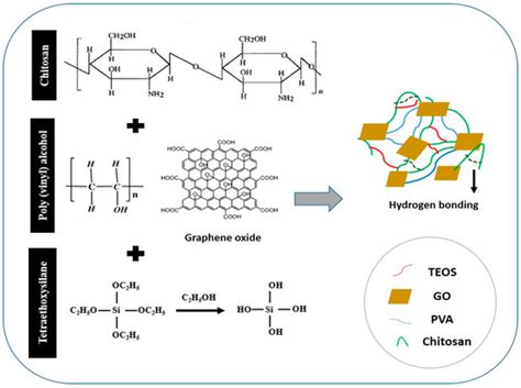 Polymers Free Full Text Chitosanpoly Vinyl Alcoholgraphene Oxide