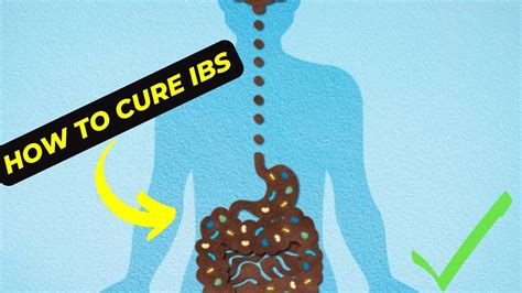 How To Cure Ibs Permanently Naturally Youtube