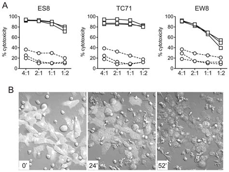 Cytotoxicity Of Expanded Nk Cells Against Ews Cells A Cytotoxicity